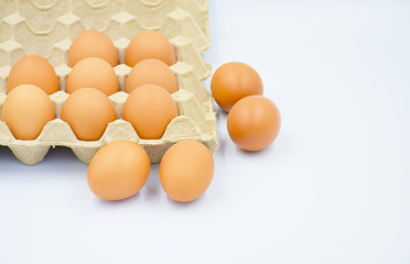 top view of raw eggs row with white background.