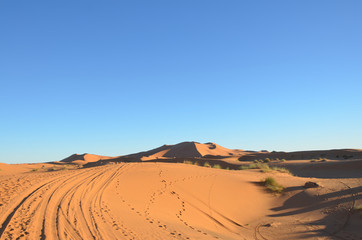 Fototapeta na wymiar Merzouga is a small Moroccan town in the Sahara Desert, near the Algerian border. Camel is one of the major transport in the desert.