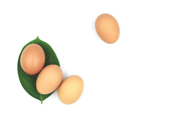 The raw chicken eggs on white background
