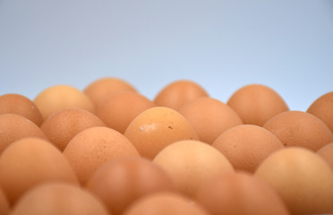 top view of raw eggs row with white background.