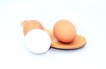 the only one of duck egg among chicken eggs, different from others. Concept for no corperate with team