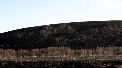 Burnt black earth as a result of artificial grass burning in the spring. Harm to nature.