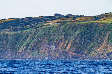 Fototapeta na wymiar Faial island, Azores archipelago.