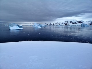 Portal Point Bay , Antarctica 