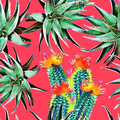 Fototapeta premium Cactus floral bouquet with aloe vera, seamless pattern.
