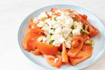 Tomato salad with onions and cheese served on the plate