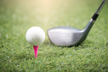 golf ball  on green grass