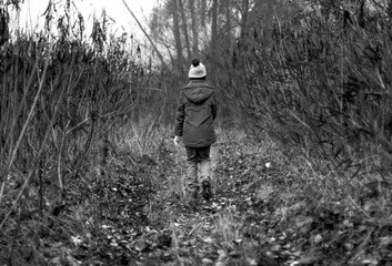 Child Was Lost in the Forest