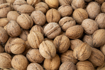 Food and macro photography, walnuts photos