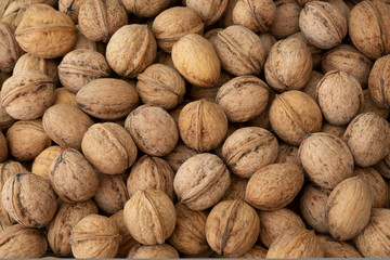 Food and macro photography, walnuts photos