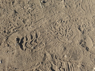 footprint trace of a hiker on a dusty trail