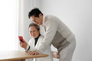 Asian seniors using computers at the desk