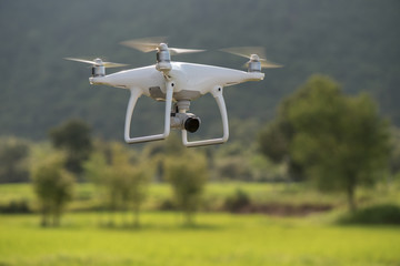 Flying drone above the wheat field