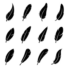 Bird feather decoration, black silhouette icon set