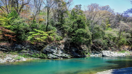 Fototapeta premium 早春の嵐山渓谷