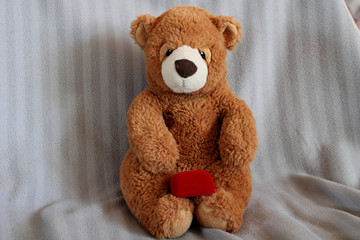 marriage proposal, bear with a ring