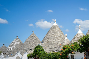 view of the typical conic roof of trullo buildings. Alberobello,  Puglia. Italy
