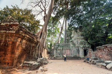 Fototapeta na wymiar Tourist with smartphone making photography of ancient ruins with trees grow through the temple Ta Prohm. 12th century walls of Angkor, Cambodia. UNESCO world heritage site