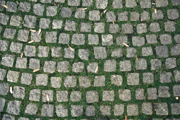 grassy old stone bricks of pavement