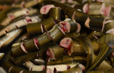 The background of the pieces of the lamprey.