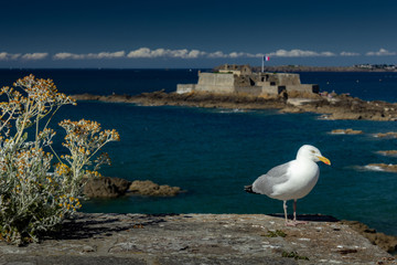 Saint-Malo in the North of France with clear sunny sky