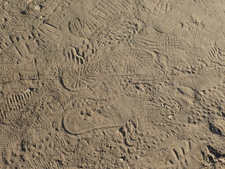 footprint trace of a hiker on a dusty trail