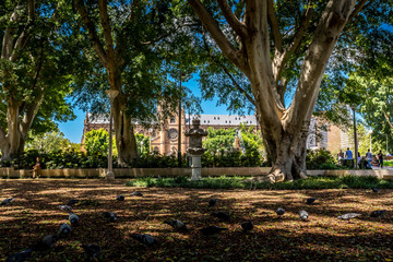 Sydney, Australia - 10th February 2020: A german photographer visiting the Cathedral Saint Mary in the city center, taking pictures of the surroundings.