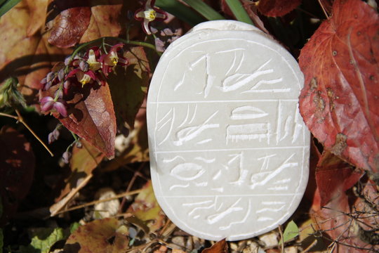 White Carved Scarab Sacred Ancient Amulet 
