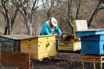 Beehive Spring Management. Beekeeper inspecting bee hive and prepares apiary for summer season. The spring works in the apiary. The start of beekeeping season. Frames of a bee hive. 