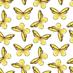 Fototapeta na wymiar Watercolor seamless pattern with beautiful butterflies. Stock illustration of endless wallpaper.