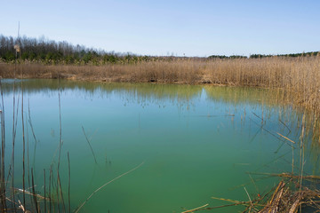 A deserted lake in Ukraine. Water color Aqua Menthe with impurities of clay. Smooth mirror surface of water. Copy space.