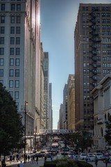 Fototapeta premium Chicago in summer with clear skies with buildings and greenery