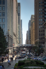 Obraz premium Chicago in summer with clear skies with buildings and greenery