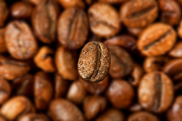 one coffee bean on the diffuse background of a lot of coffee beans lying