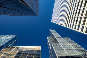 Chicago in summer with clear skies with buildings and greenery