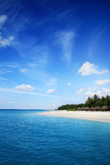 Fototapeta na wymiar tropical beach with palm trees and straw umbrellas