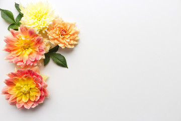 Flowers composition. Dahlias flowers on wooden background. Valentines day, mothers day, womens day, spring concept. Flat lay, top view, copy space.