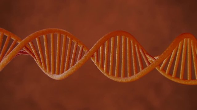 Rotating Dna in body With Formula shot loop-able video Depth Of Field in 4K