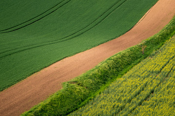 Moravian fields and meadows at spring near Karlin, Chech Republic