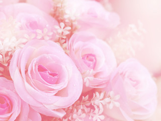 Blurred of Rose flowers blooming. in the pastel color style for background.