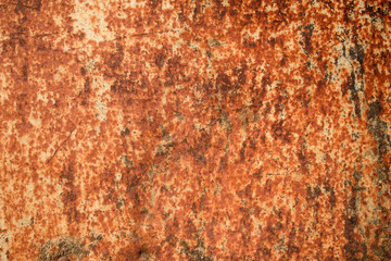Metal sheet for backdrop. Strong corrosion and rust. Color Milk Punch, Sepia, Hue Brown.