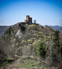 Obraz premium Die berühmte Burg Trifels in Rheinland-Pfalz/Deutschland