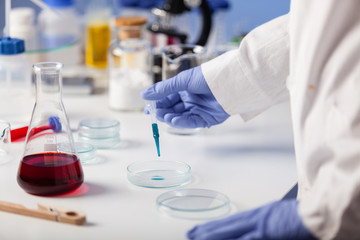 Fototapeta premium Examination of samples in the laboratory.