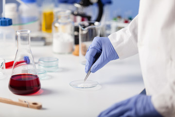 Fototapeta premium Examination of samples in the laboratory.