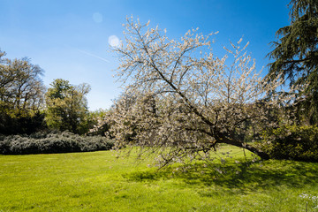 Parc Vallee aux Loups