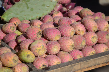 The Prickly Pear, the cactus fruit selling at the side of the street of Fez.