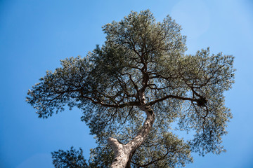 Parc Vallee aux Loups