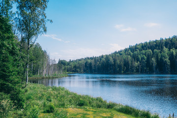 Beautiful lake with scenic forest on bright Sunny summer day