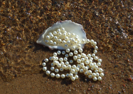 






White Pearl Necklace In Oyster Shell, Floating In Water.
