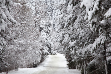 Snowy Winter Mountain Road